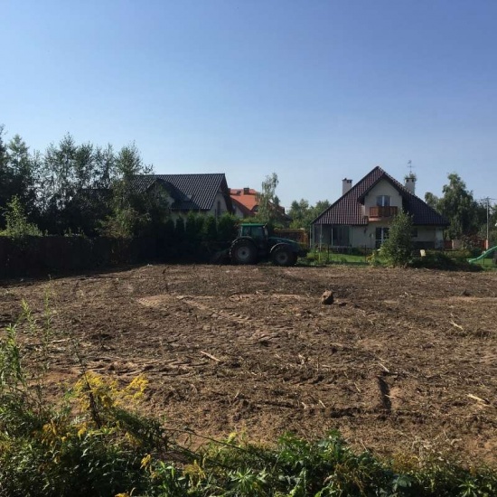 Wycinka, drzew. karczowanie, likwidacja, sadów,
