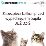 kocie siatki linarem