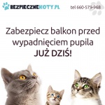 Siatka dla kota, kocia siatka, siatki dla kotów