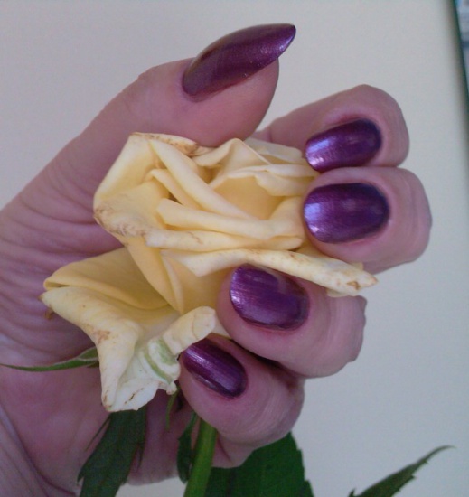 Manicure, pedicure, henna, regulacja brwi, makijaże, fryzjer
