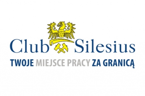 PRACOWNIK ROBÓT ZIEMNYCH- AUSTRIA 