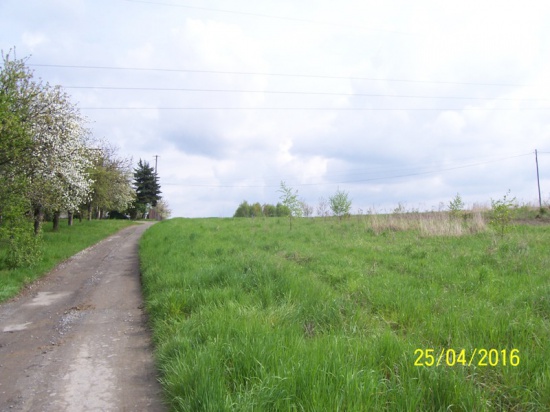 Działka budowlana w Jasieniu/Kamionka