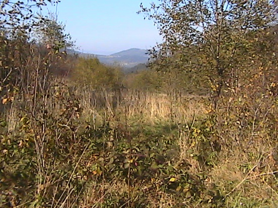 Sprzedam dzialke w Zawoi