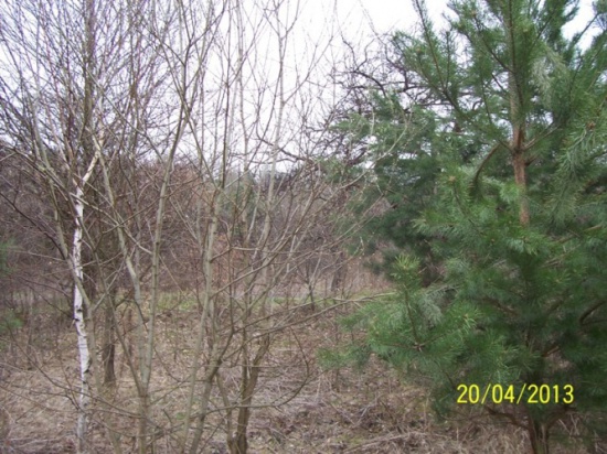 Działki budowlane w Rudzie Kameralnej/Zakliczyn