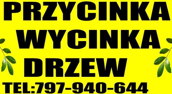 Koszenie trawy wysokiej Wycinka przycinka drzew kraków i okolice