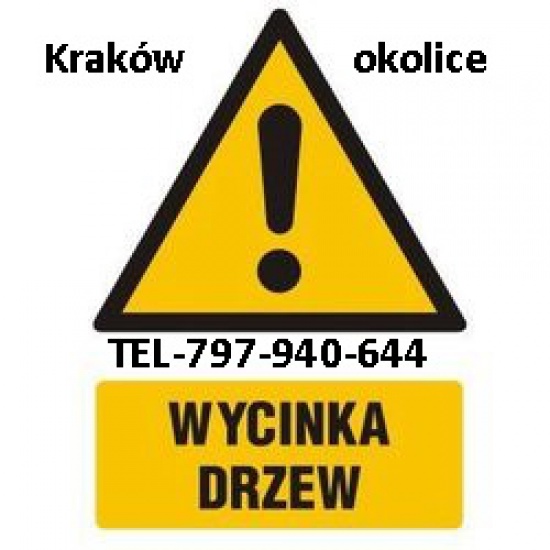 Przycinanie Wycinanie Skracanie drzew KRAKÓW I OKOLICE
