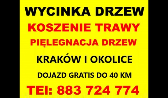 Wycinanie przycinanie drzew kraków i okolice,Karczowanie działek